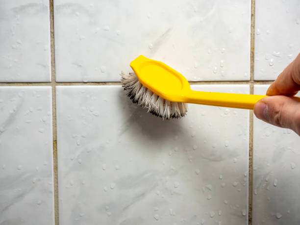 Best Bathroom Mold Remediation in Fairmont, IL