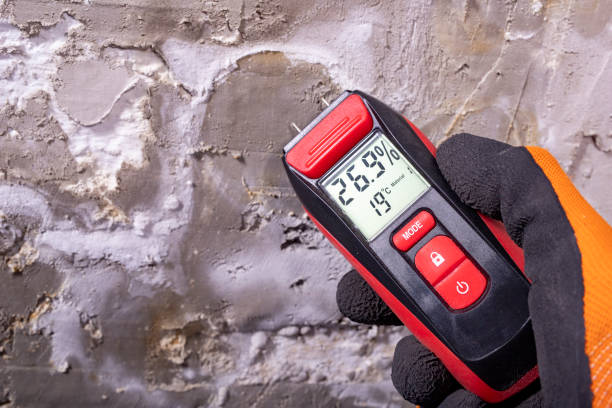 Best Kitchen Mold Remediation in Fairmont, IL