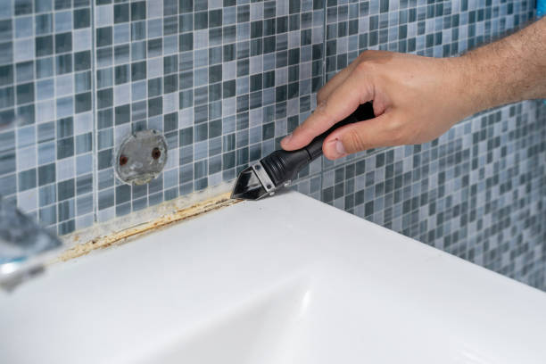 Best Basement Mold Remediation in Fairmont, IL