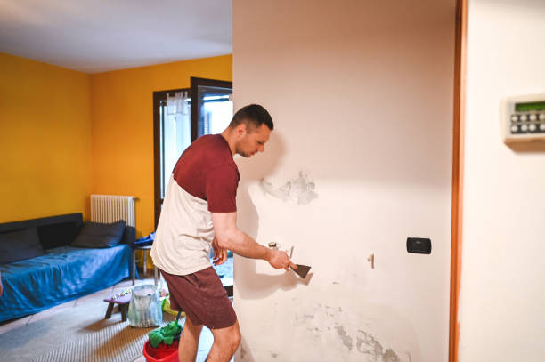 Best Localized Mold Remediation (e.g., coastal areas, humid climates) in Fairmont, IL